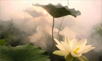 为什么专业篮球品牌在训练中如此重要_2